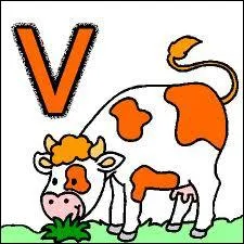 Quelle est la bonne orthographe de ce tissu ?