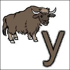 Quelle est la bonne question ?