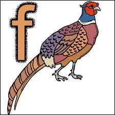 Quelle est la bonne orthographe ?