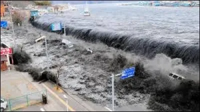 Mars : Le 11 restera gravé dans toutes les mémoires avec ce terrible séisme suivi d'un tsunami au Japon. Quelle était sa magnitude ?