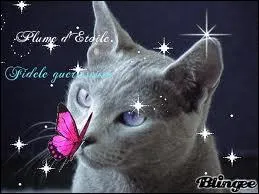 Quelle reine est la mre adoptive de Pelage de Silex et de Patte de Brume ?