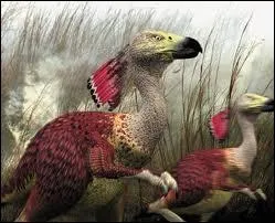 Dcouvrez les tranges animaux qui peupleront la terre dans quelques millions d'annes avec :