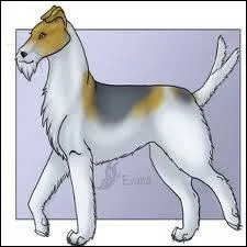 Il a une queue fourchue, il est inoffensif, fidle aux sorciers, mais il n'aime pas les moldus !