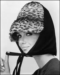 Franaise. Appartient  l'histoire de la mode des Sixties. Elle serait  le premier mannequin cr par le magazine Elle dans les annes 60 .