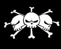 A qui est ce drapeau ?