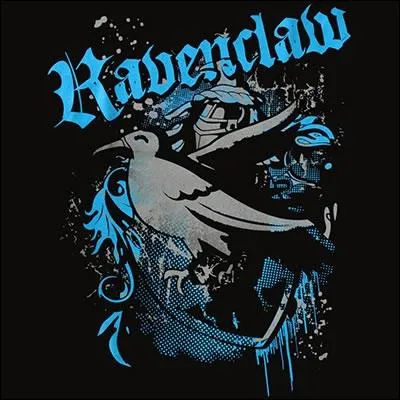 Qui est le directeur de la maison Serdaigle ?