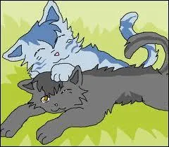 Plus tard , Plume Grise a peur d'tre dcouvert par le clan de la Rivire ; o veut-il que soient les rendez-vous ?