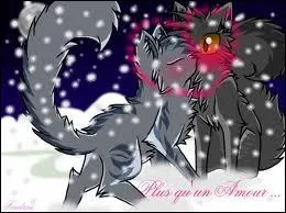 Combien d'enfants vont concevoir Plume Grise et Rivire d'Argent ?