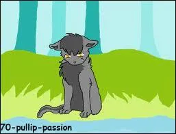 Aprs la mort de Rivire d'Argent , quelle fut la punition de Plume Grise pour ne pas avoir obi au code du guerrier ?