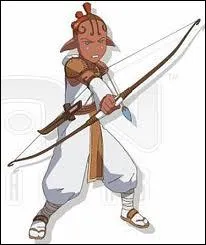 De quelle plante vient Aikka ?