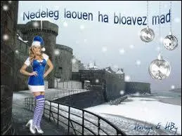 'Joyeux Nol et Bonne Anne ! 'Dans quelle ville franaise pourriez-vous entendre 'Nedeleg laouen ha Bloavezh mat ! '