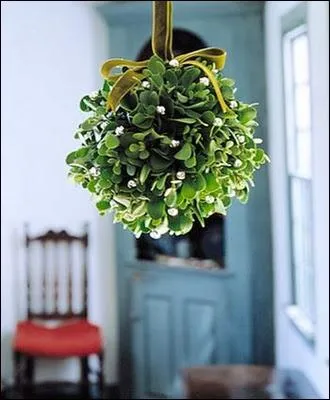 Minuit moins 1 mn : Le gui, le gui ! Pourquoi le gui, alors que l'Eglise a voulu le remplacer par le houx ?