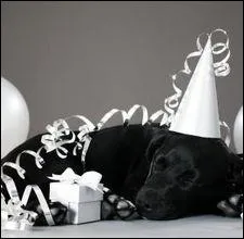 Et le lendemain matin  ?