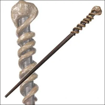 A qui appartient cette baguette ?