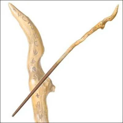 A qui appartient cette baguette ?