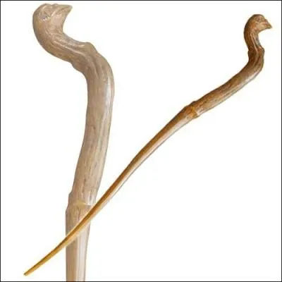 A qui appartient cette baguette ?