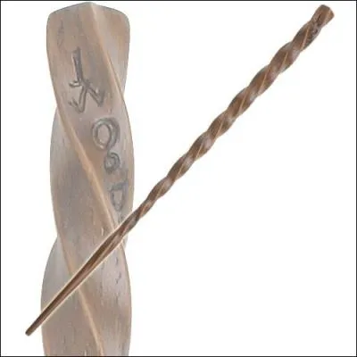 A qui appartient cette baguette ?