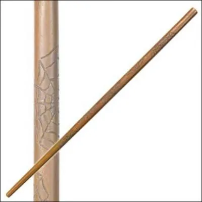 A qui appartient cette baguette ?