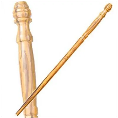 A qui appartient cette baguette ?