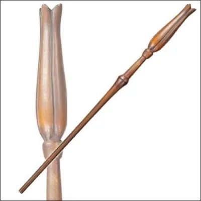 A qui appartient cette baguette ?