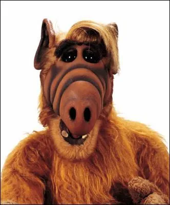 Que considre-t-il comme un mets raffin ?