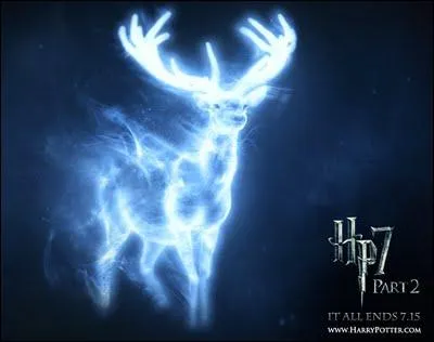  qui est ce Patronus ?