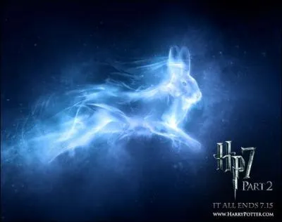  qui est ce Patronus ?