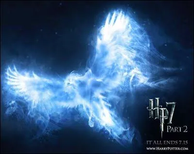  qui est ce Patronus ?