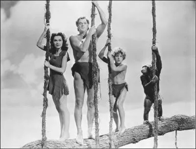 Avec quel Tarzan, le chimpanz Jitts, dcde le 24 dcembre, aurait jou le rle de Cheetah  partir des annes 30 ?