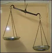 Comment nomme-t-on cette balance ?