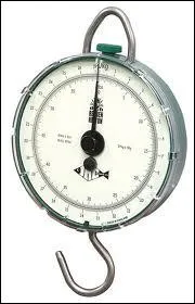 Comment se nomme cette balance ?