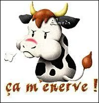 Si les questions de ce quizz taient particulirement difficiles et qu'elles vous ont nervs :