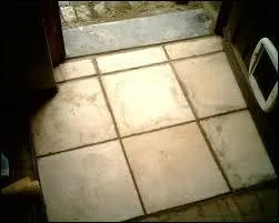 Pour nous porter chance, quelqu'un devra passer le seuil de la maison aprs minuit avec une pice de monnaie (richesse), du charbon (chaleur) et du sel ( nourriture). Nous sommes...