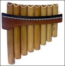 Quel est cet instrument ?