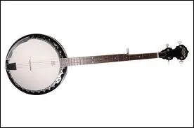 Quel est cet instrument ?