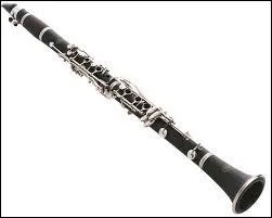Quel est cet instrument ?