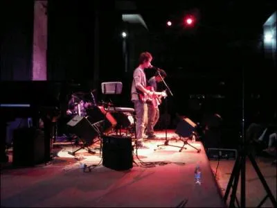 Combien de concerts le groupe a-t-il  son actif ?