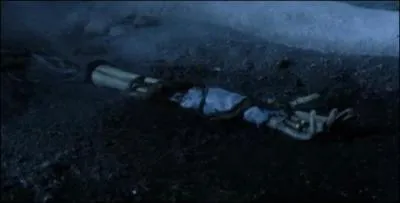 Dans quel film peut-on voir ce bras abandonn ?