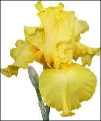 De quel roman d'Agatha s'agit-il ?