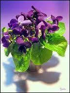 De quel roman d'Agatha s'agit-il ?