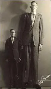 Quelle tait la taille de l'homme le plus grand de tous les temps ?