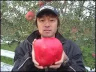 Quel est le poids de la pomme la plus lourde de tous les temps ?