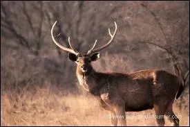 Beaucoup plus facile, mais il se rgale quand-mme le ...