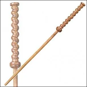 A qui appartient cette baguette ?