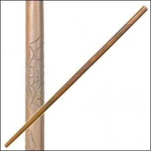 A qui appartient cette baguette ?