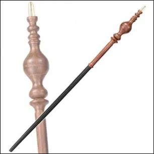 A qui appartient cette baguette ?