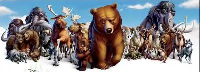 De quel dessin anim font partie ces personnages ?