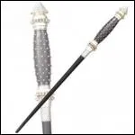 A qui appartient cette baguette ?