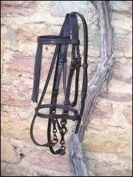 Pour dbrider votre monture vous devez dmonter entirement le filet.