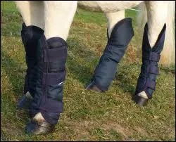 A quoi servent ces protections ?